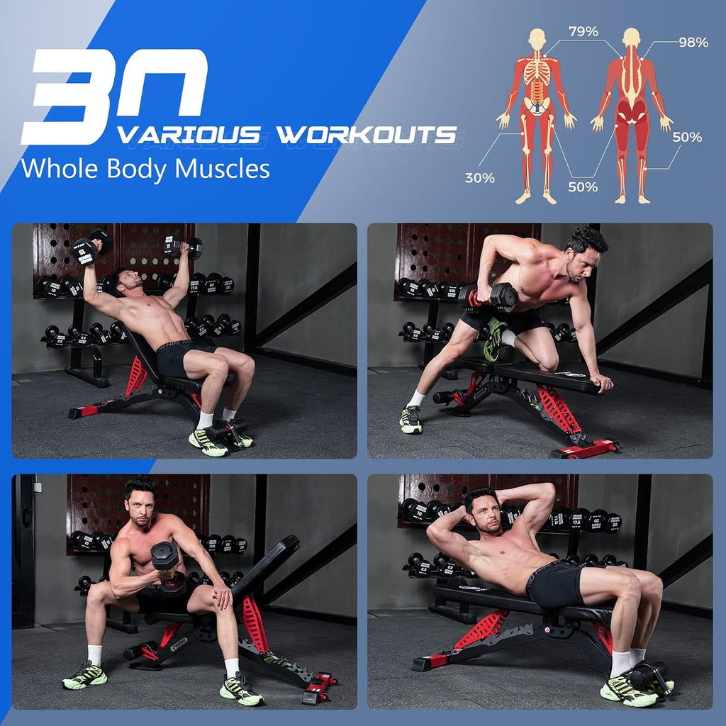 Heavy Duty Adjustable Weight Training Bench