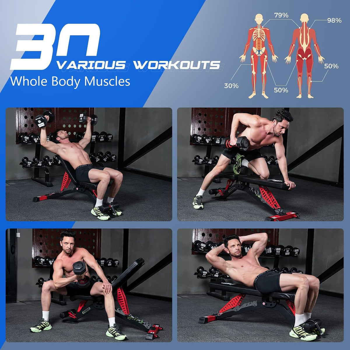 Heavy Duty Adjustable Weight Training Bench